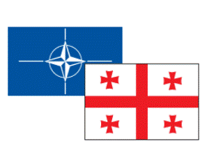 НАТО открывает свои уголки в учебных заведениях Ахалцха
